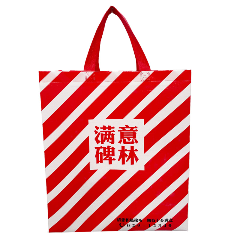 1654911851.jpg 政务宣传袋.jpg